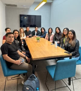 CONSULTORÍA SAP FUNCIONAL